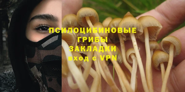 молекула духа Белокуриха