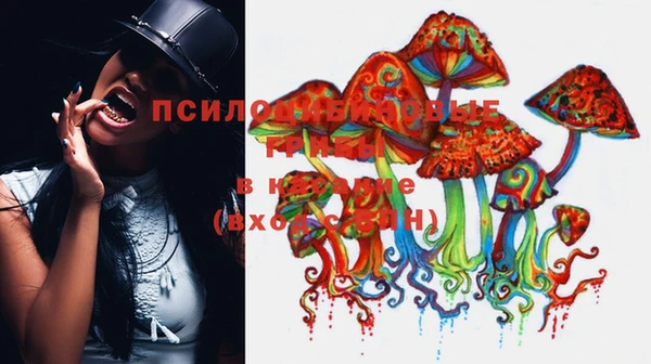 мяу мяу мука Белоозёрский