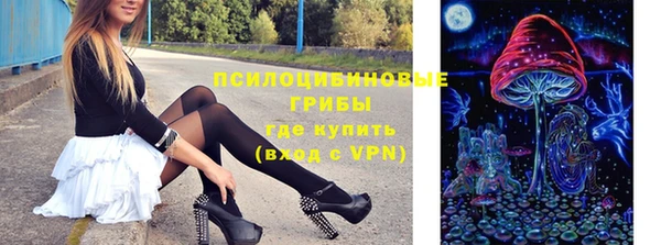 молекула духа Белокуриха
