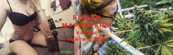 молекула духа Белокуриха