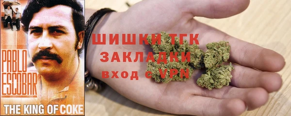 молекула духа Белокуриха