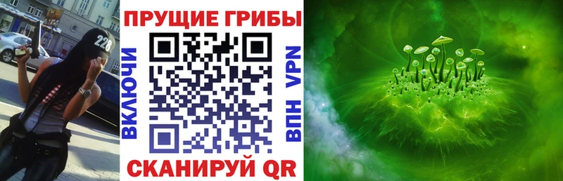 Купить закладки  Малгобек  Галлюциногенные грибы Cubensis 